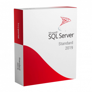 Microsoft SQL Server 2019 Standard Reused