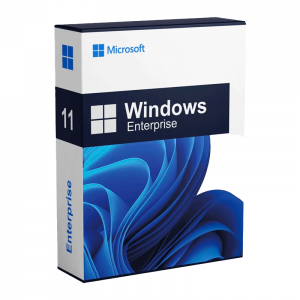 Microsoft Windows 11 Enterprise